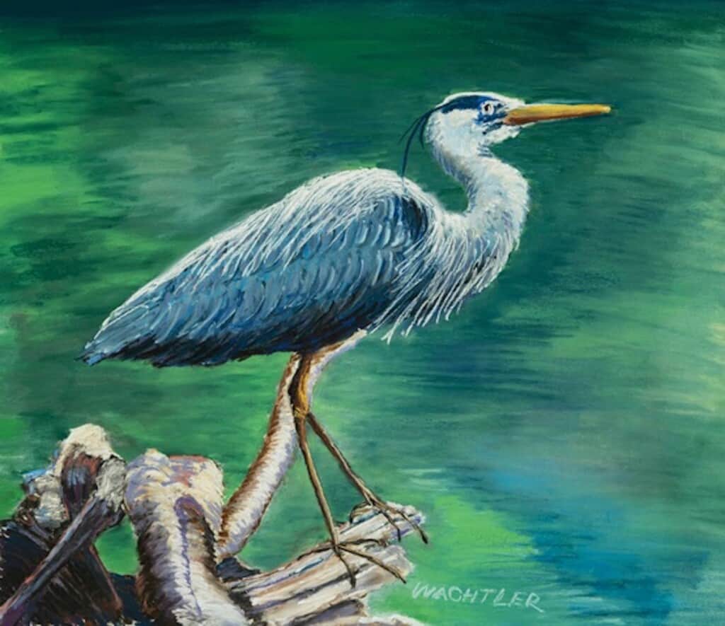 Artist Bill Wachtler’s pastel painting “Blue Heron” will be on display in his studio during this weekend’s Open Studio Tour.