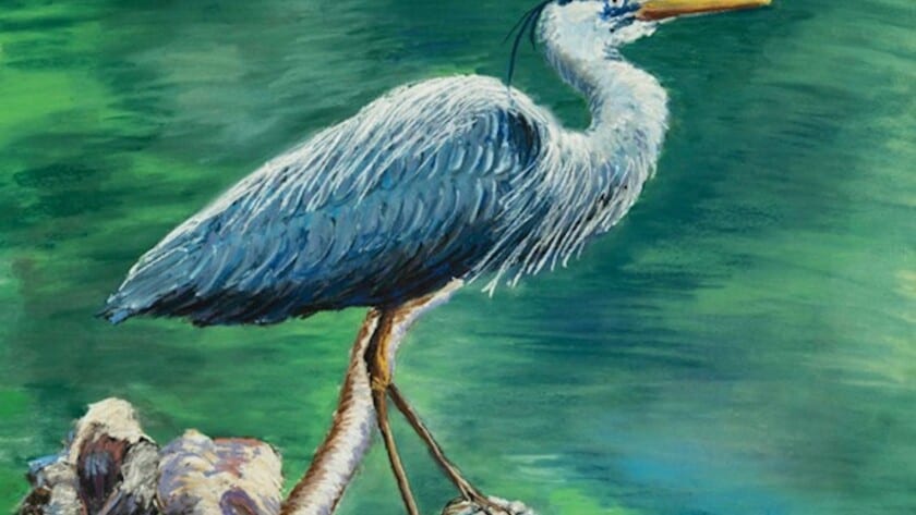 Artist Bill Wachtler’s pastel painting “Blue Heron” will be on display in his studio during this weekend’s Open Studio Tour.