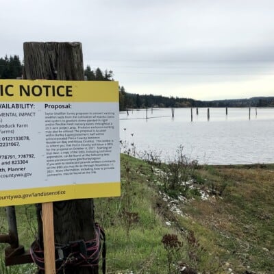 Photo of Burley Lagoon and public notice sign about proposal to farm geoducks