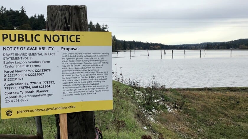 Photo of Burley Lagoon and public notice sign about proposal to farm geoducks