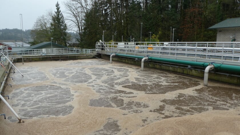 In the plant’s aerator basins, bacteria break down the wastewater.