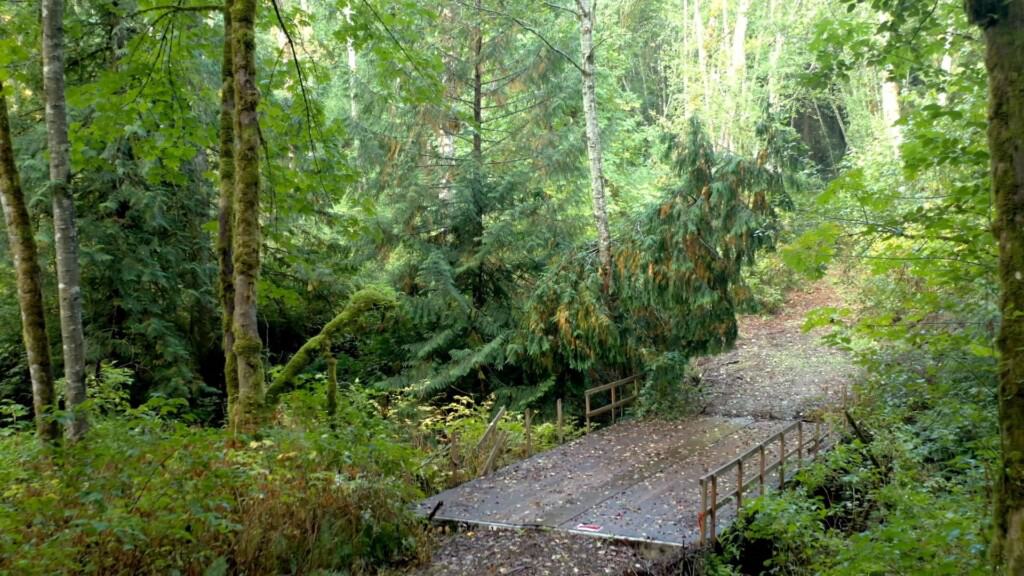 A small bridge crosses Donkey/North Creek in the property that the city hopes to purchase.