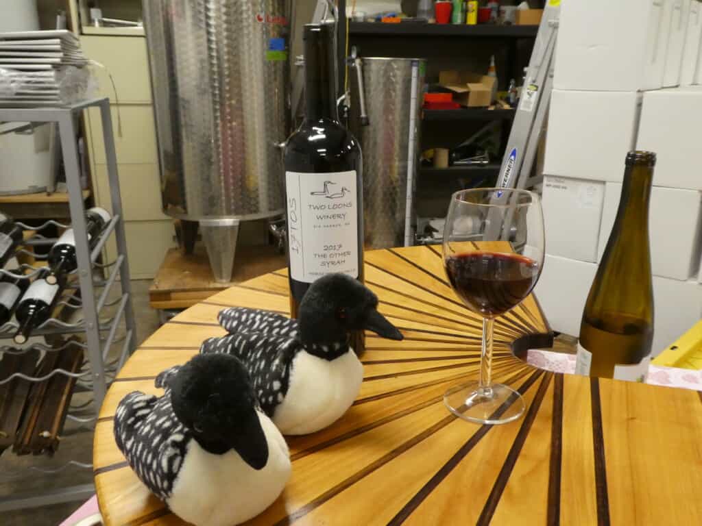 A wine sample and two loons sit on a handmade bar.