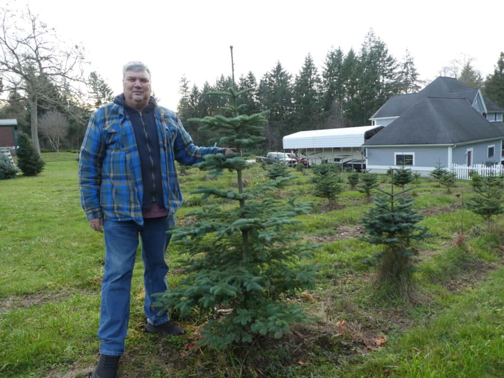 Doug Kingsbury with a seven-year old noble fir