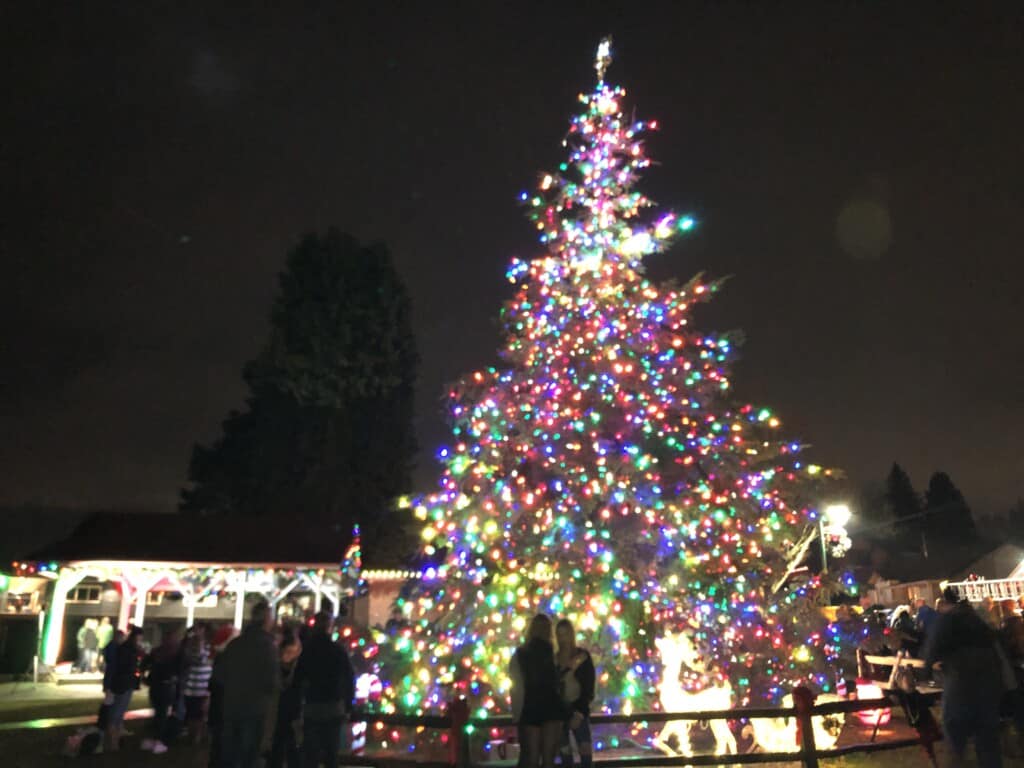 Christmas tree at Skansie Brothers Park in Gig Harbor