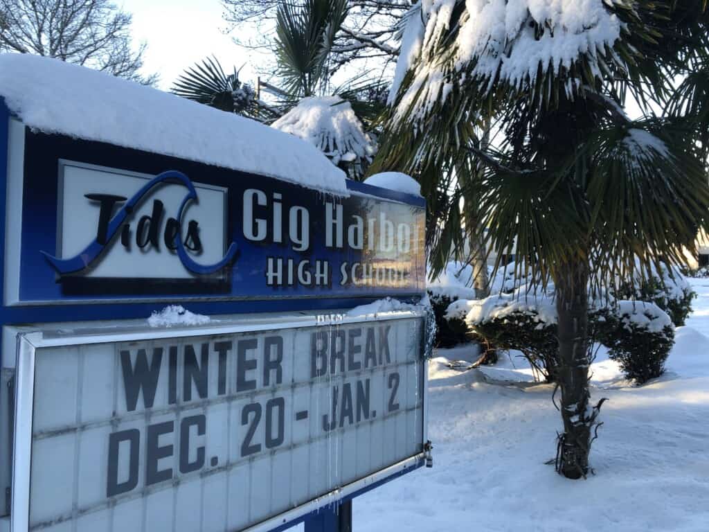 The palm tree beside Gig Harbor High's message board is covered with snow.