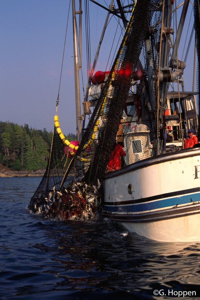 An Alaska salmon purse seiner is limited to 58 feet long and typically has a crew of four to six, including a skipper