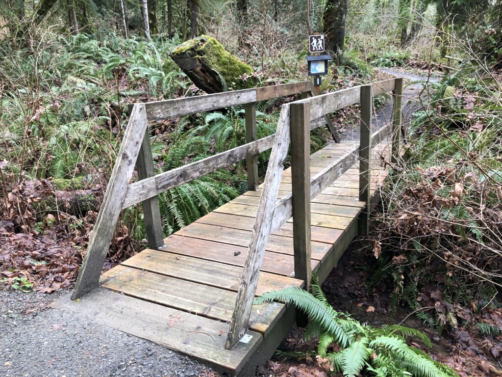 A wooden bridge crosses a small stream at Kopachuck State Park.