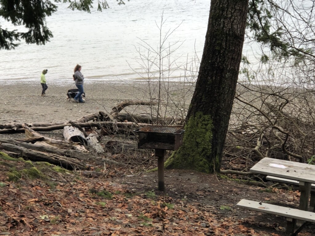 A couple and their dog walk on the Kopachuck beach.