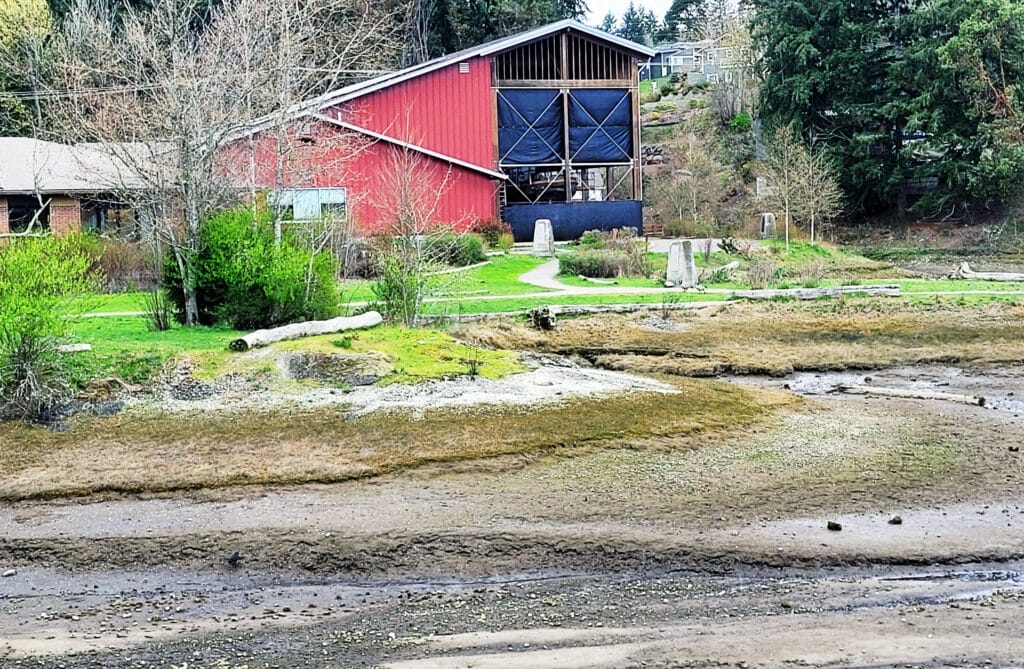 The Harbor History Museum during a recent low tide.