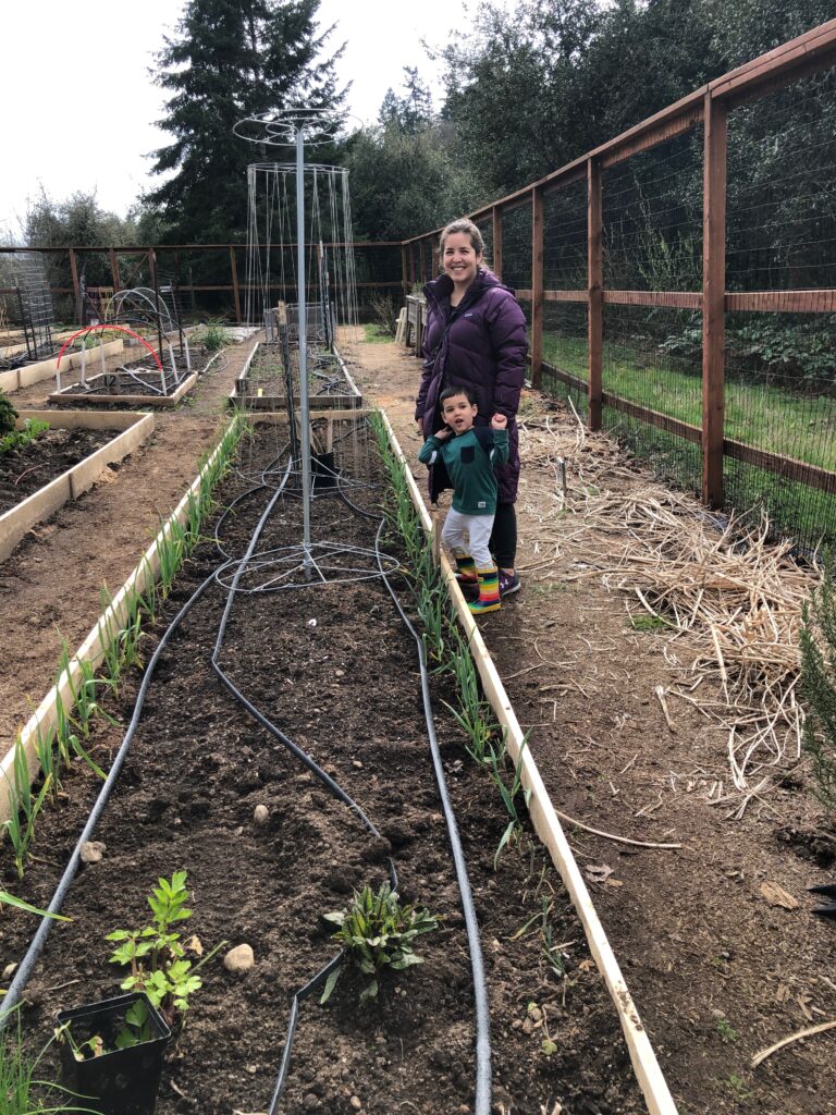 Hatai Krashaer and her 4-year-old son, Logan, work at their plot in Wilkinson Farm Park's community garden. Some of the plantings from 2021 made it through the winter.
