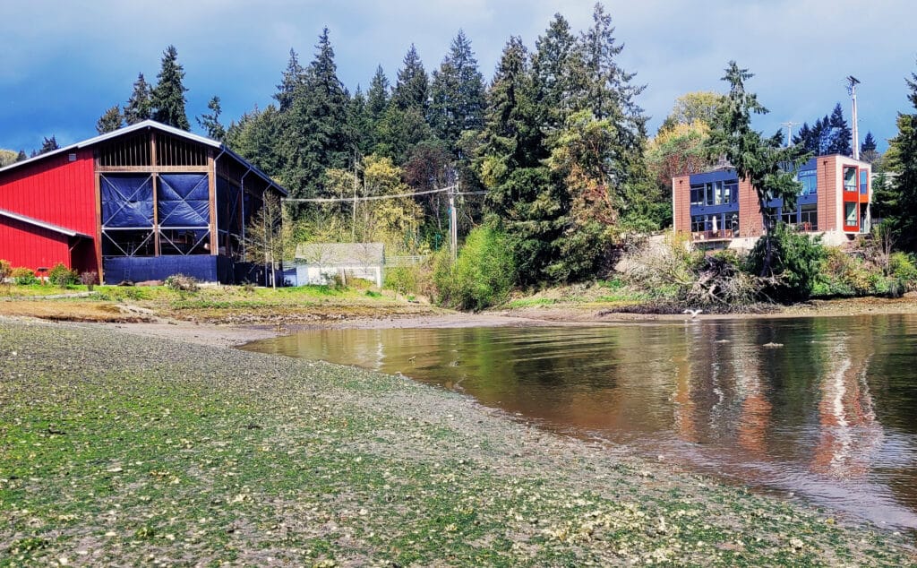 Donkey Creek flows into Gig Harbor near the Harbor History Museum.