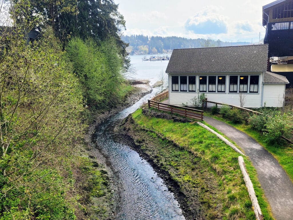 Donkey Creek empties into Gig Harbor near the Harbor History museum.