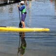 The Dragon Boat races drew both human and canine observers, on land and on the water.