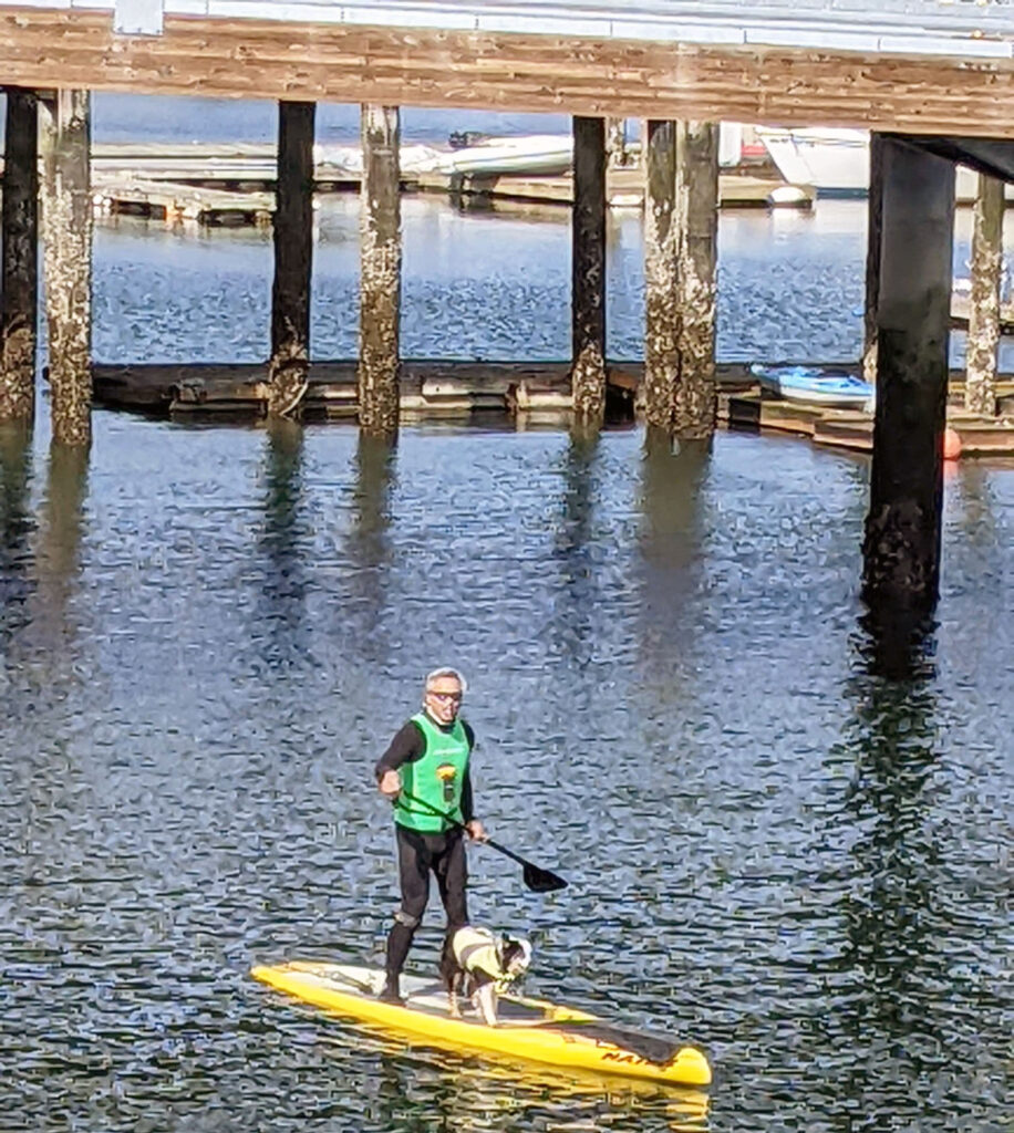 Jerry Figuerres and his dog, Kalani, are often seen paddleboarding in the harbor.
