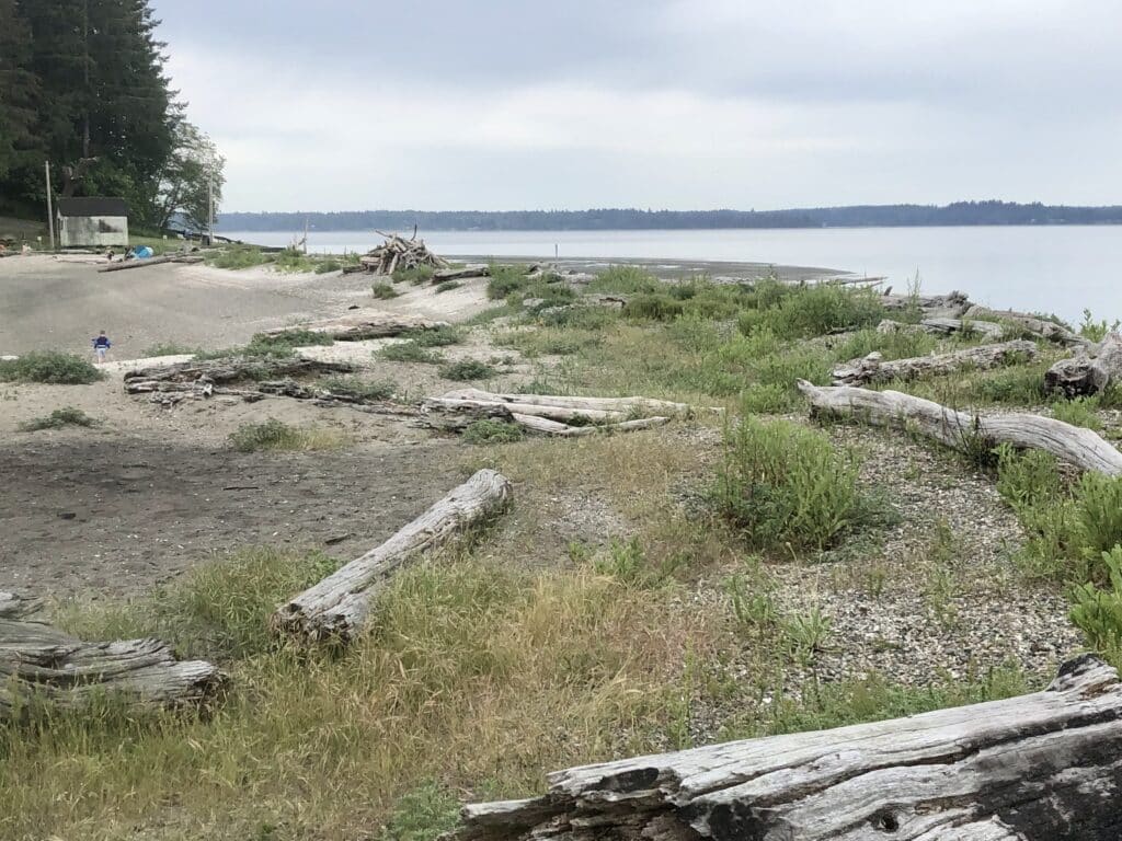 fox island sandspit