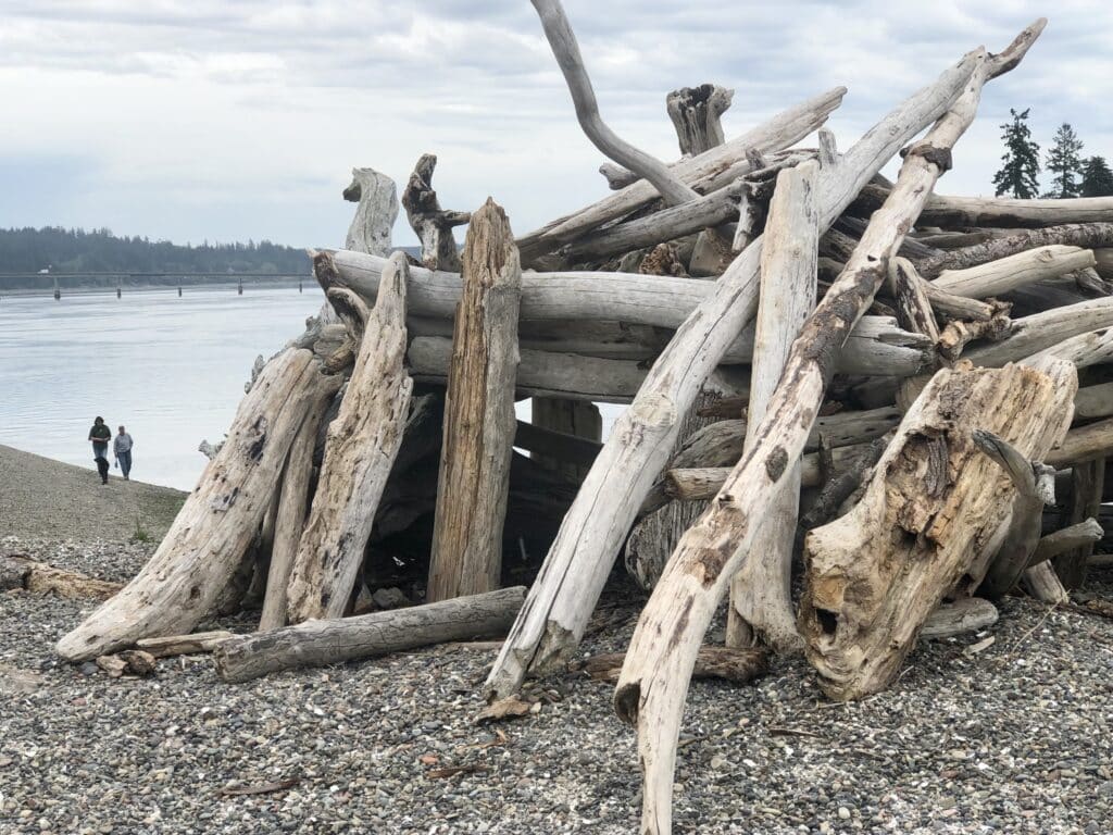 Driftwood at Fox Island sandspit park