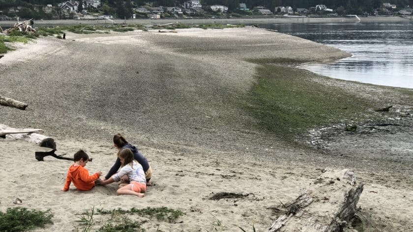 Kids play in the sand Wednesday at the Fox Island sandspit.