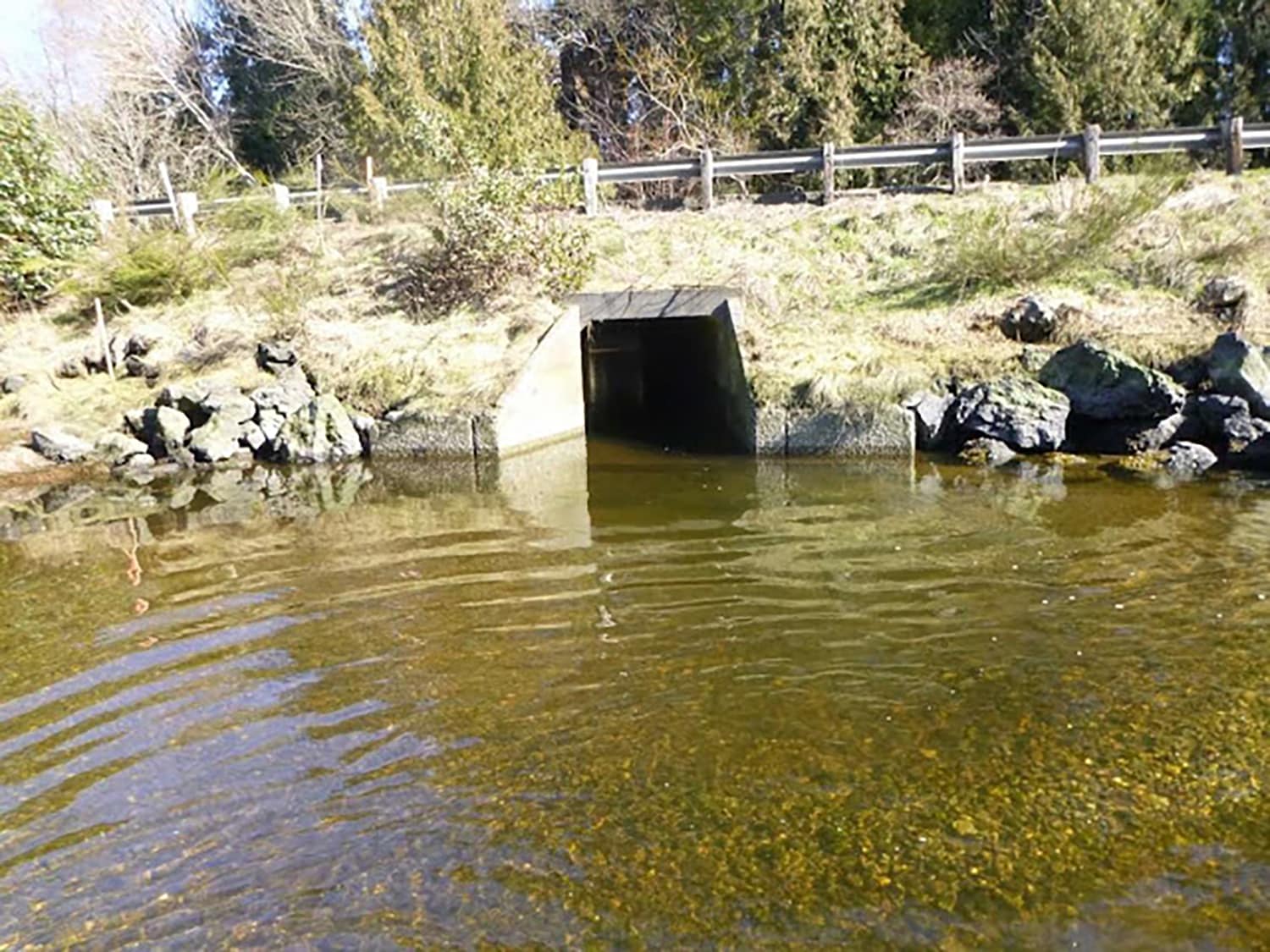 Culvert taking Purdy Creek under the Highway 302 spur.