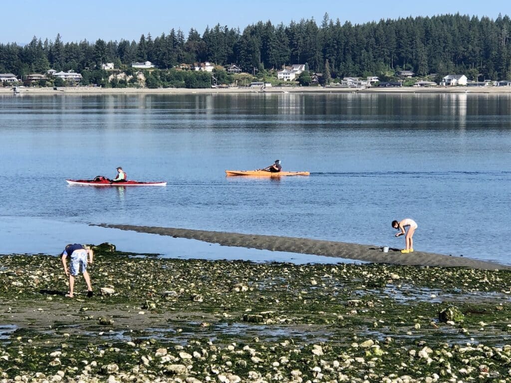 Kayakers paddle and beachcombers search at Tacoma DeMolay Sandspit Preserve.