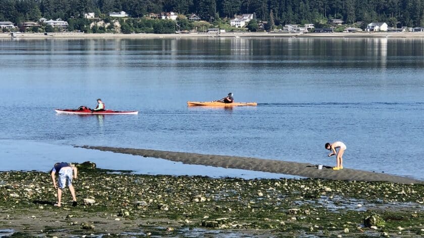 Kayakers paddle and beachcombers search at Tacoma DeMolay Sandspit Preserve.