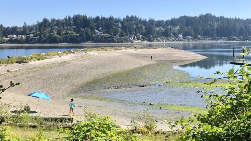 PenMet Park's Tacoma DeMolay Sandspit Nature Preserve.