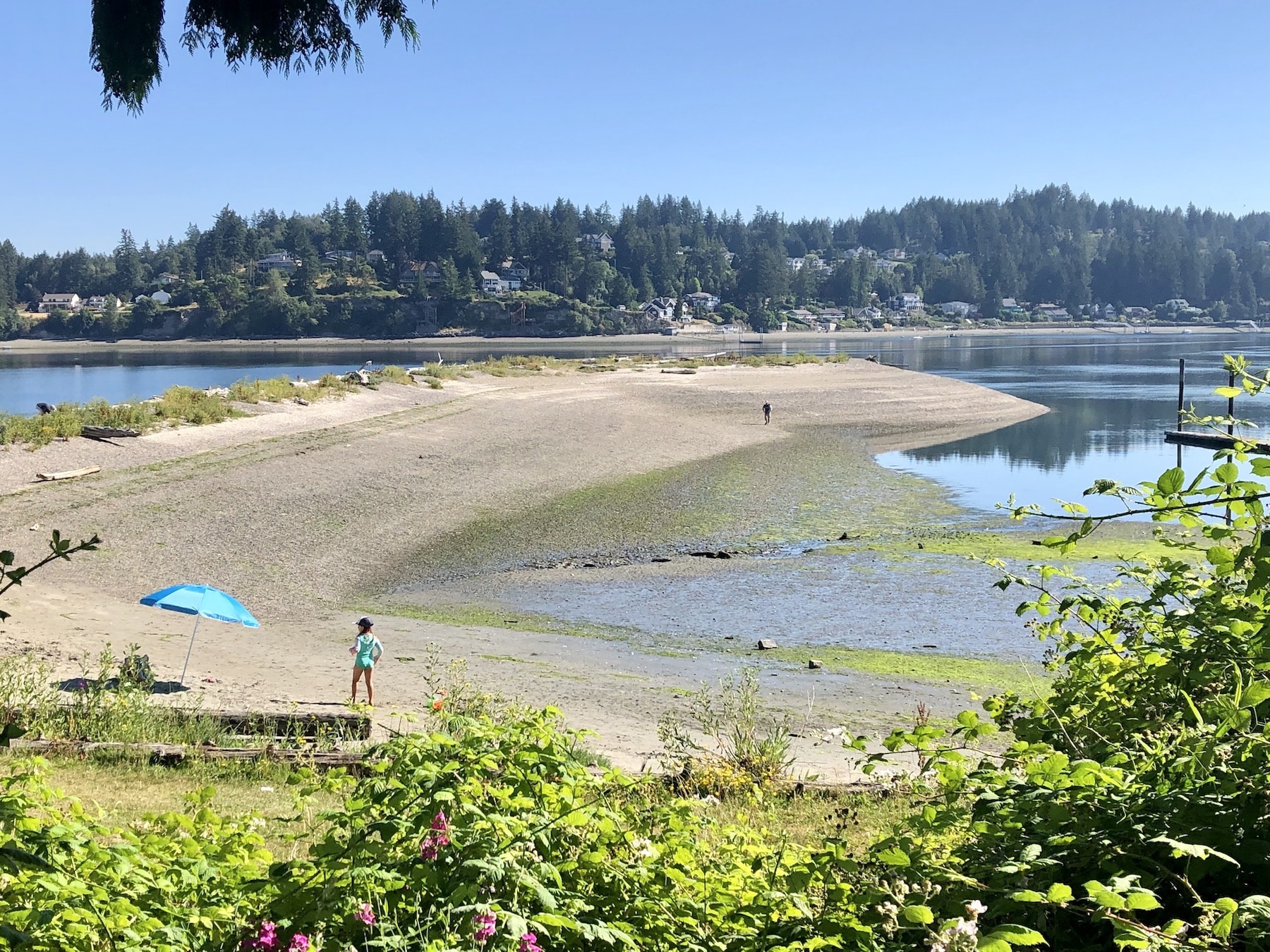 PenMet Park's Tacoma DeMolay Sandspit Nature Preserve.