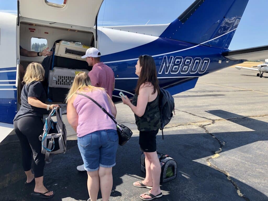 The puppies are unloaded after their plane trip from Santa Monica Airport.