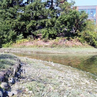 In addition to lead contamination, high concentrations of PCBs have also been found near the Donkey Creek delta.