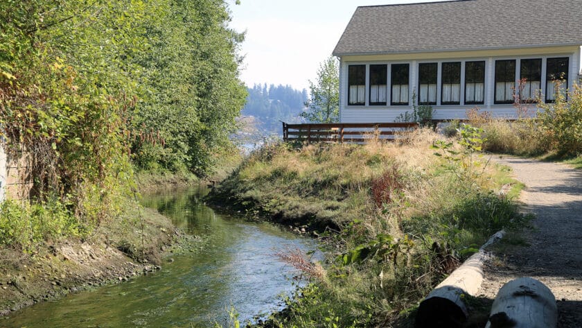 Donkey Creek flows into Gig Harbor Bay near the Harbor History Museum. Toxic lead has been detected in the area since 2002.