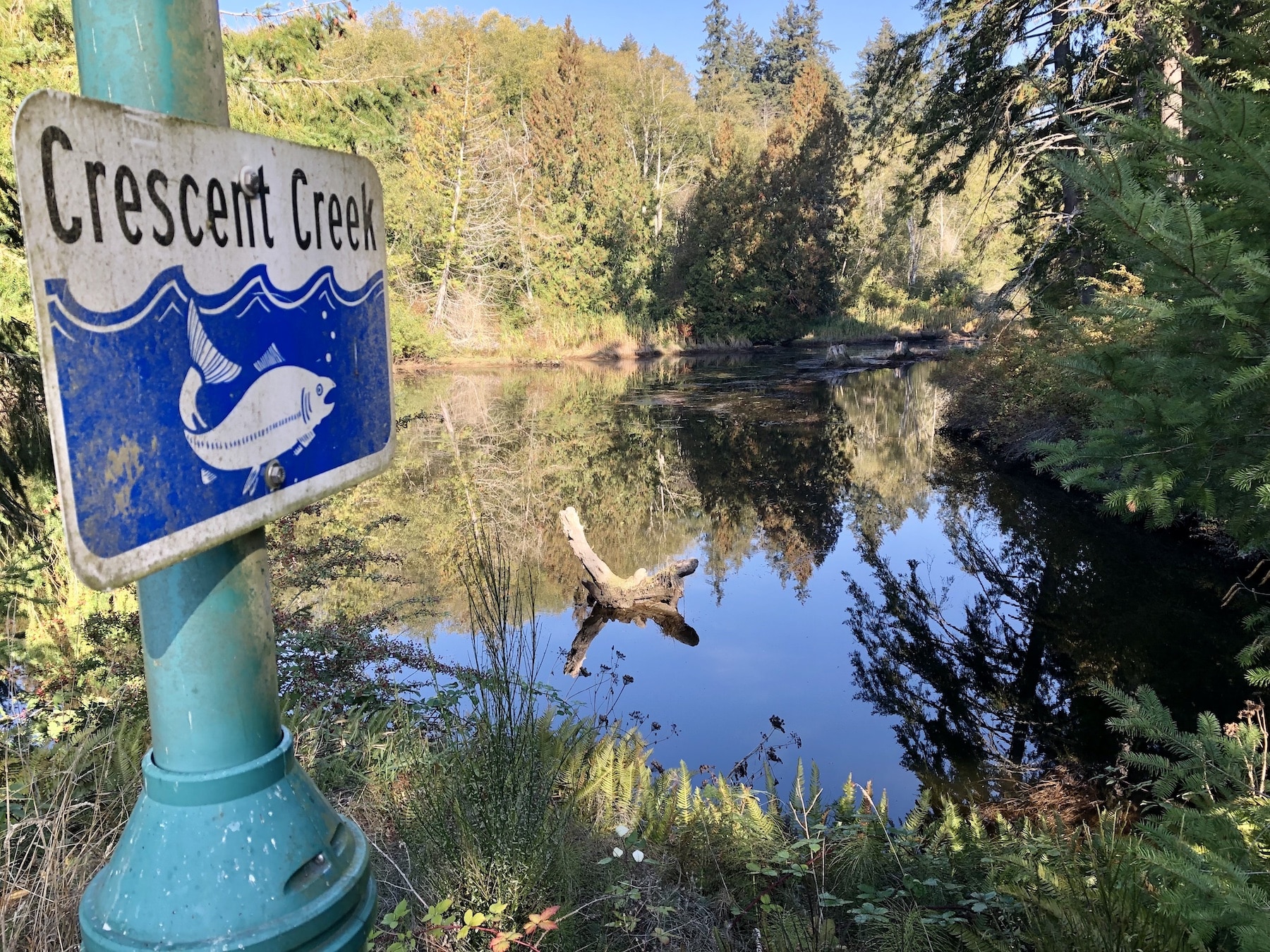 Mouth of Crescent Creek in Gig Harbor