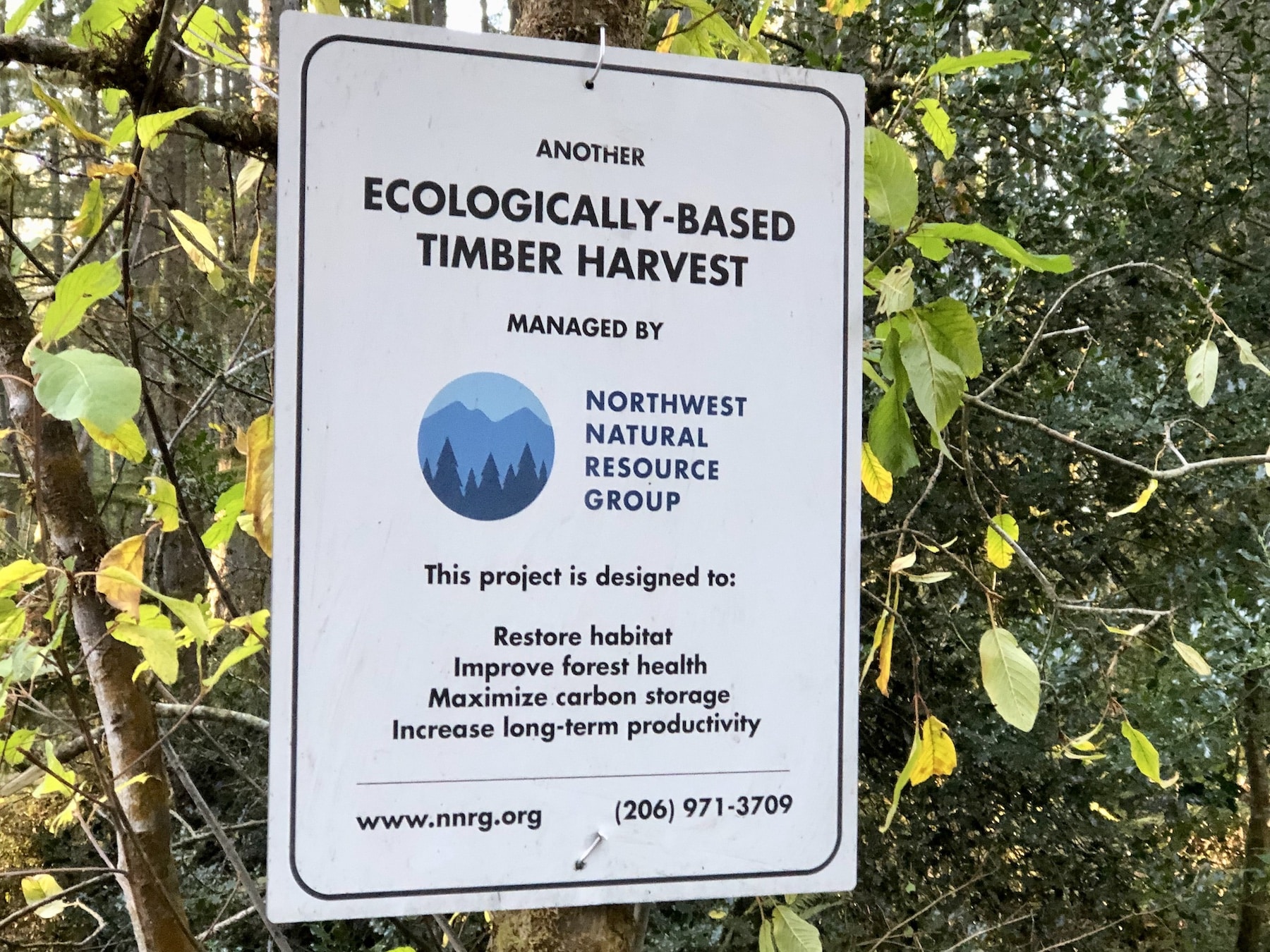 A sign along Lombard Drive explains they ecological type of logging taking place.