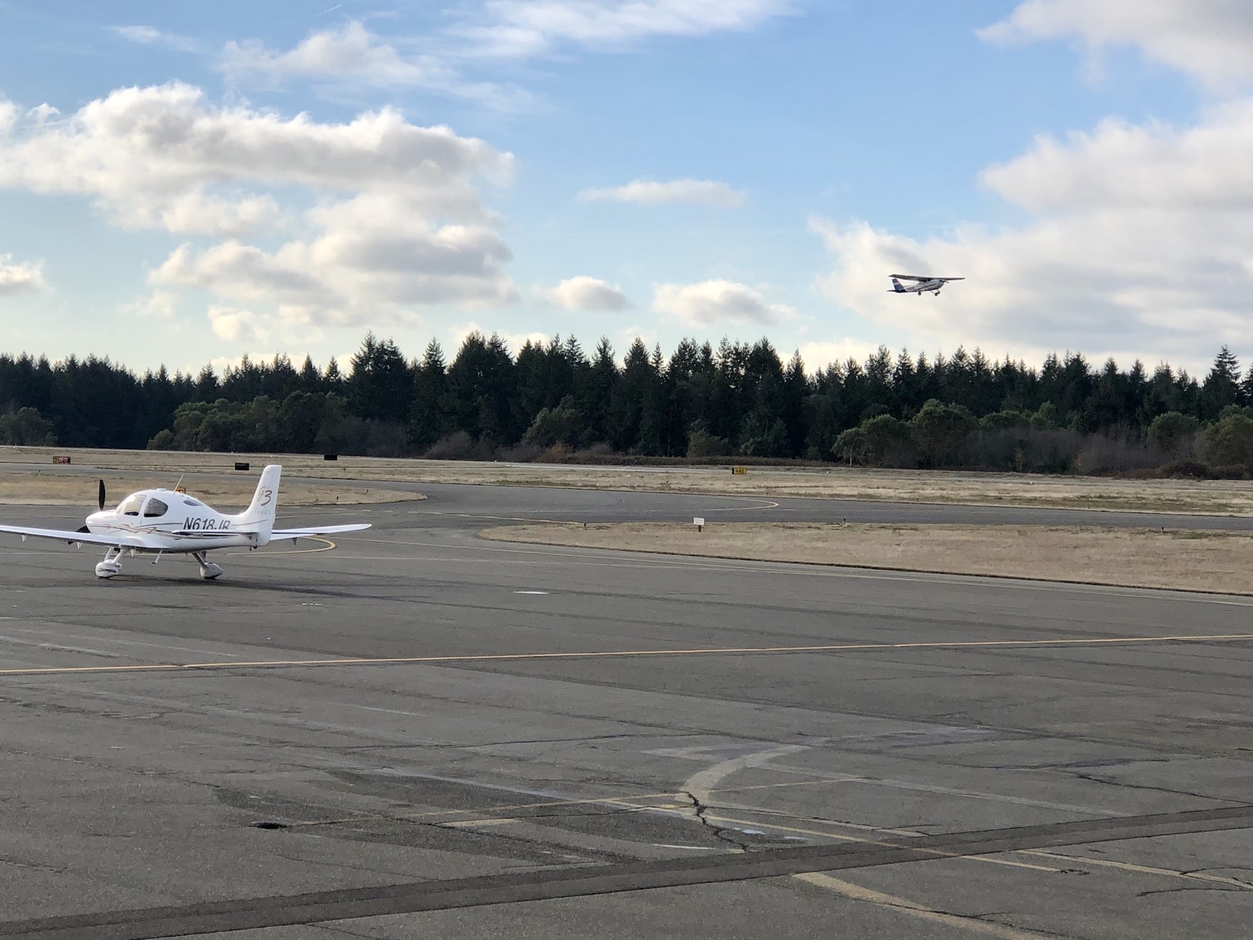 Most trees to be removed are to the west (in background) and north of the runway.