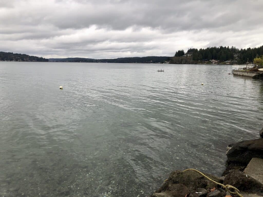 Henderson Bay looking north toward Purdy