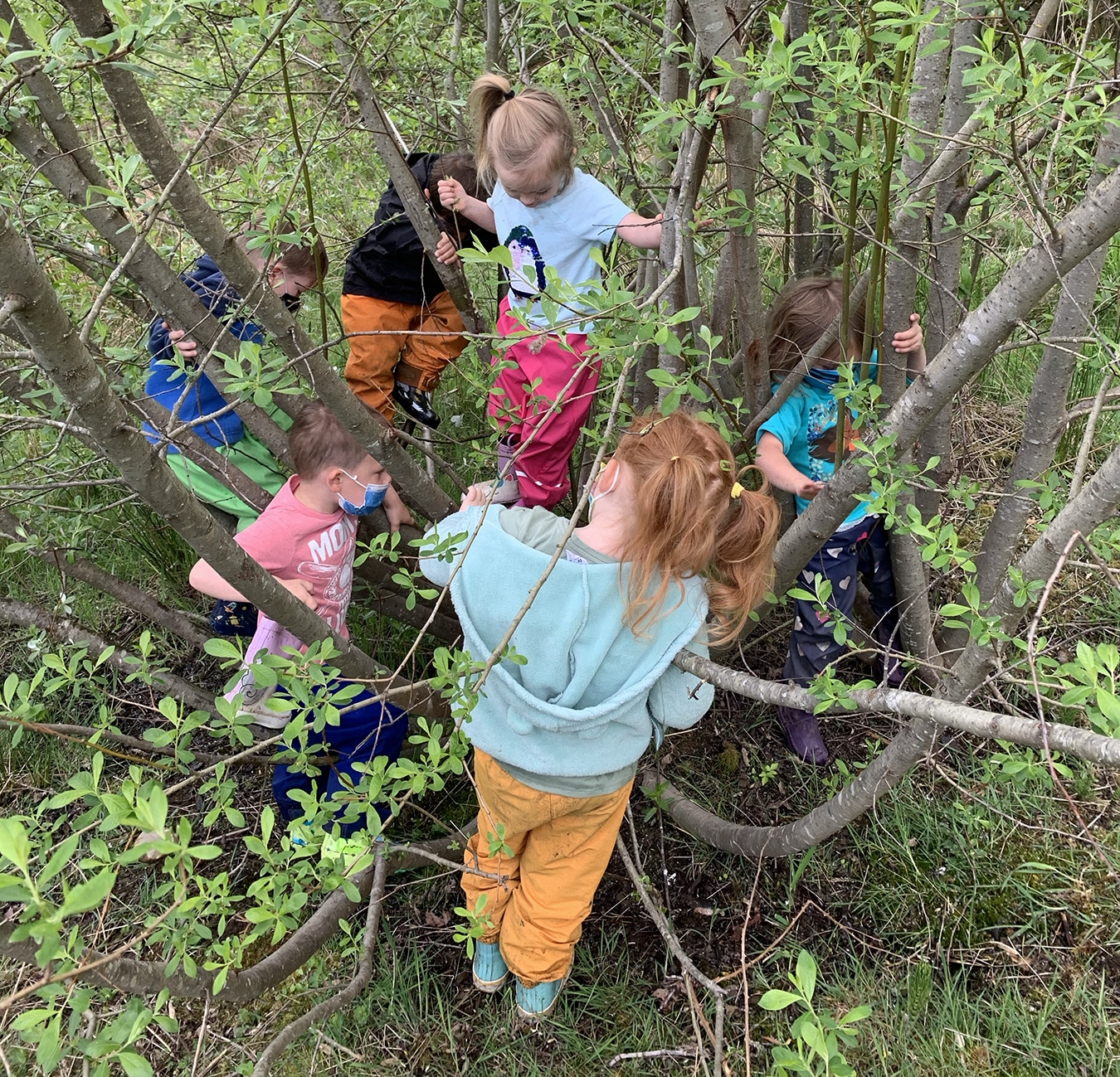 knap Betjening mulig tjene Curious by Nature outdoor preschool adds new campus - Gig Harbor Now | A  hyperlocal nonprofit newspaper in Gig Harbor
