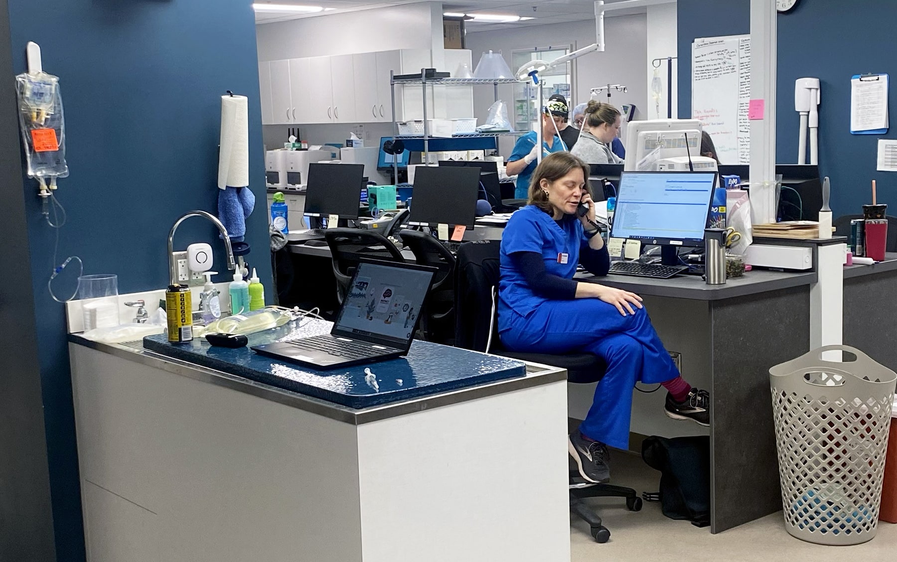 New clinic offers emergency vet care Gig Harbor Now A hyperlocal