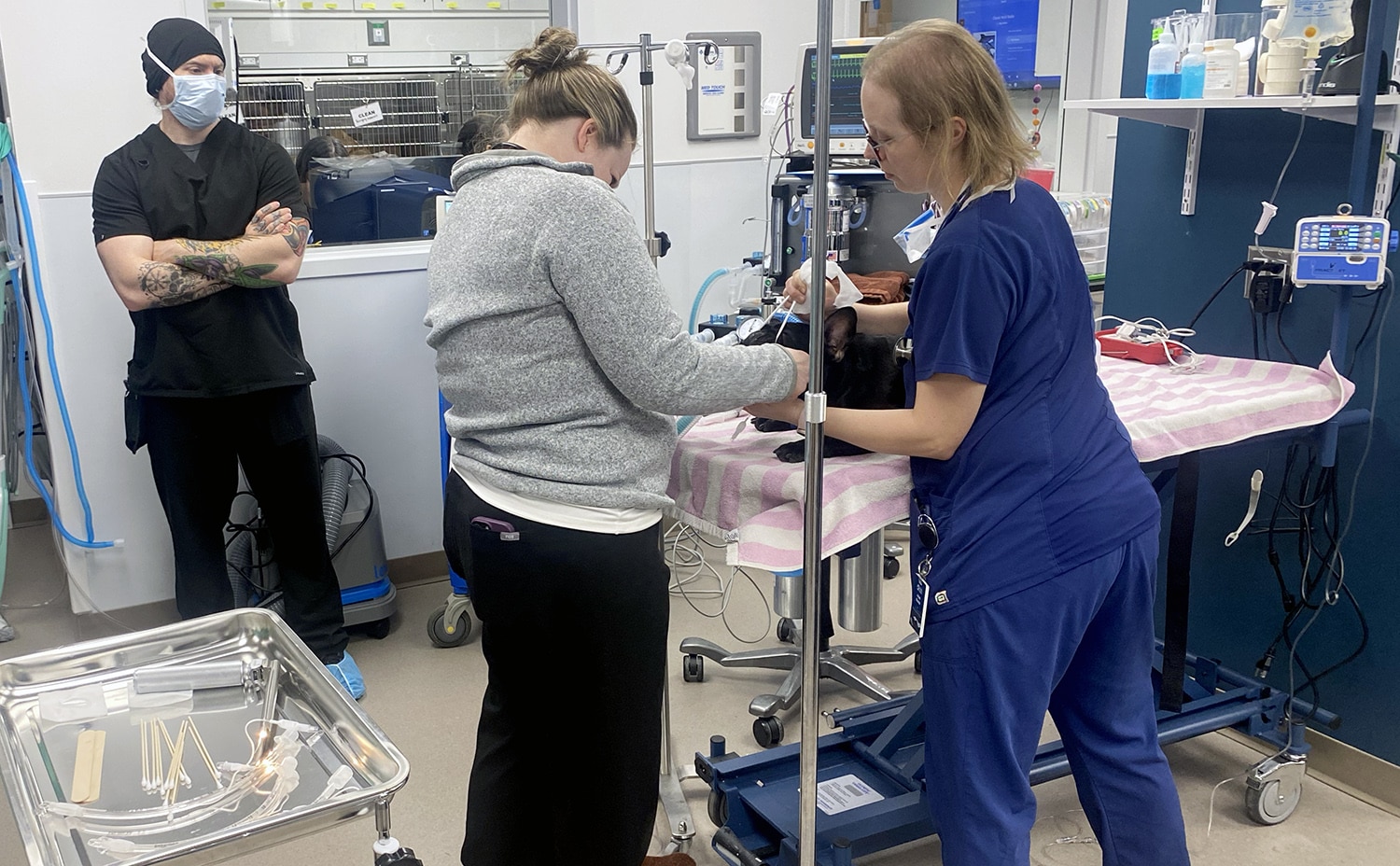 New clinic offers emergency vet care - Gig Harbor Now | A hyperlocal nonprofit newspaper in Gig Harbor New clinic offers emergency vet care - Gig Harbor Now | A hyperlocal nonprofit newspaper in Gig Harbor