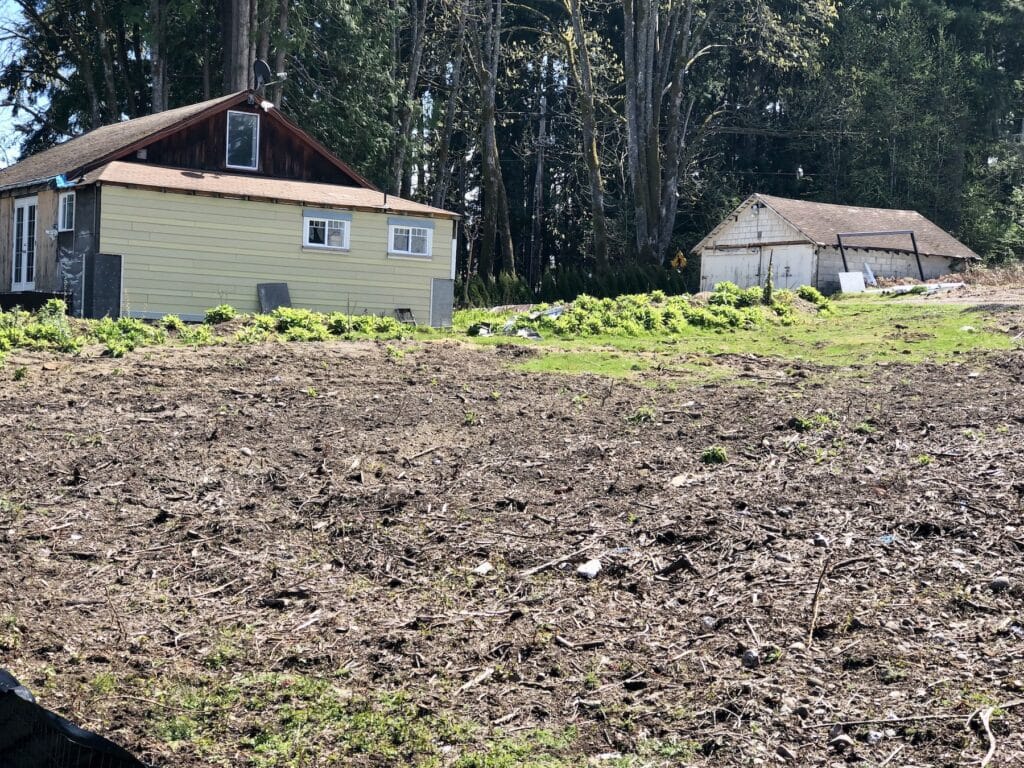 The property, which was overtaken by mountains of blackberry bushes and junk hiding underneath them, has been cleared.