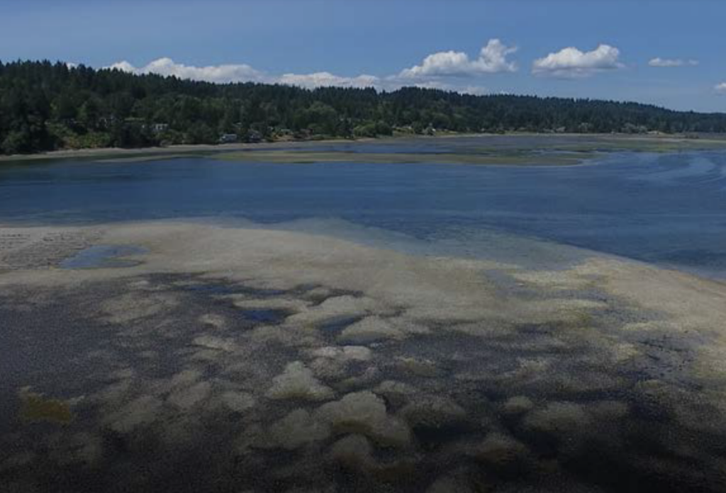 Burley Lagoon