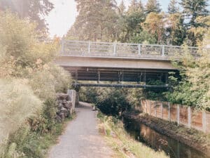 This is an image of a bridge over a creek on a sunny day