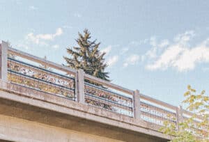 This is a picture of padlocks hanging from bridge railings, looking from below