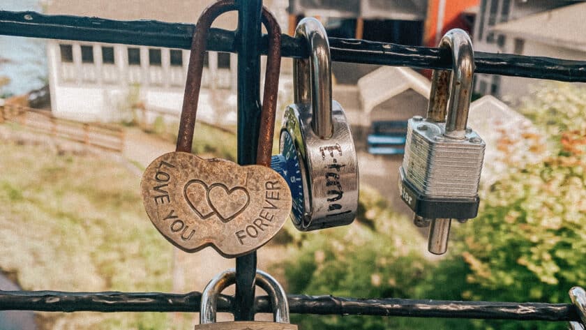 This is a picture of padlocks hanging from bridge cables