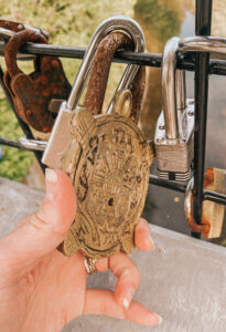 This is an image of another round padlock in the shape of one turtle