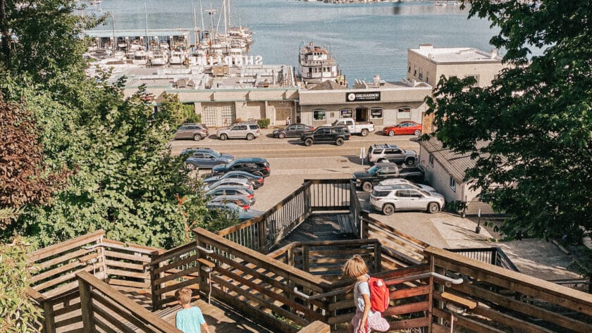 This is a photo of wooden stairs overlooking a harbor