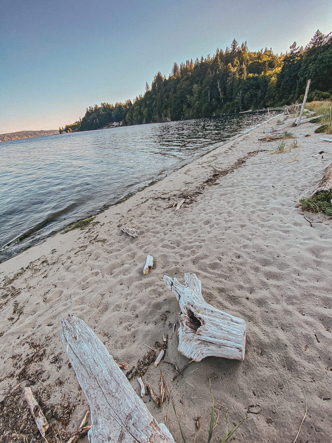 Two in Tow & On the Go Kitsap County's Anderson Park an uphill climb
