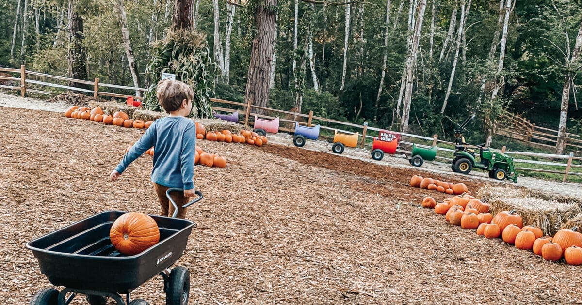 Two In Tow & On The Go An autumn adventure at Harbor Farms Gig