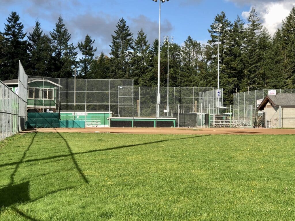 The south Little League diamond would be turfed but otherwise remain much the same.