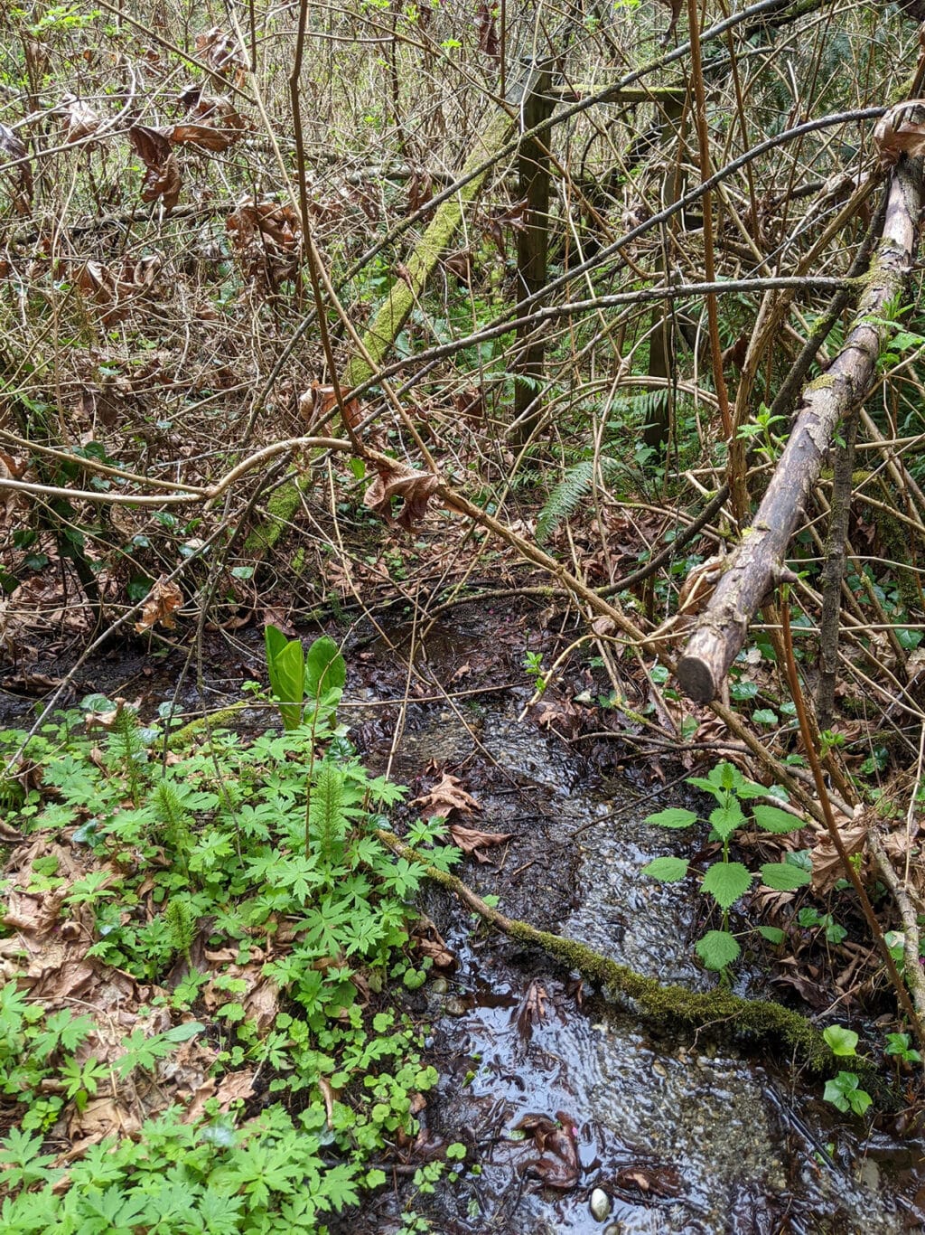 Neighbors press city about The Reserve, a development planned above