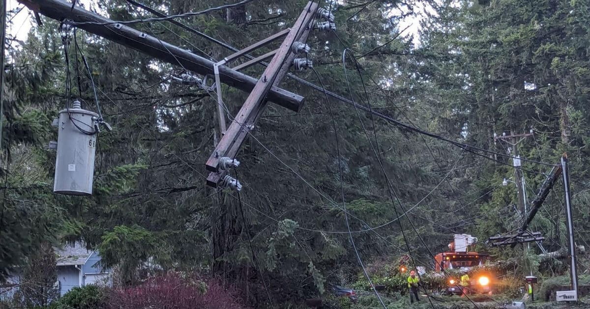 How PenLight, Pierce County responded to last week's storm damage Gig