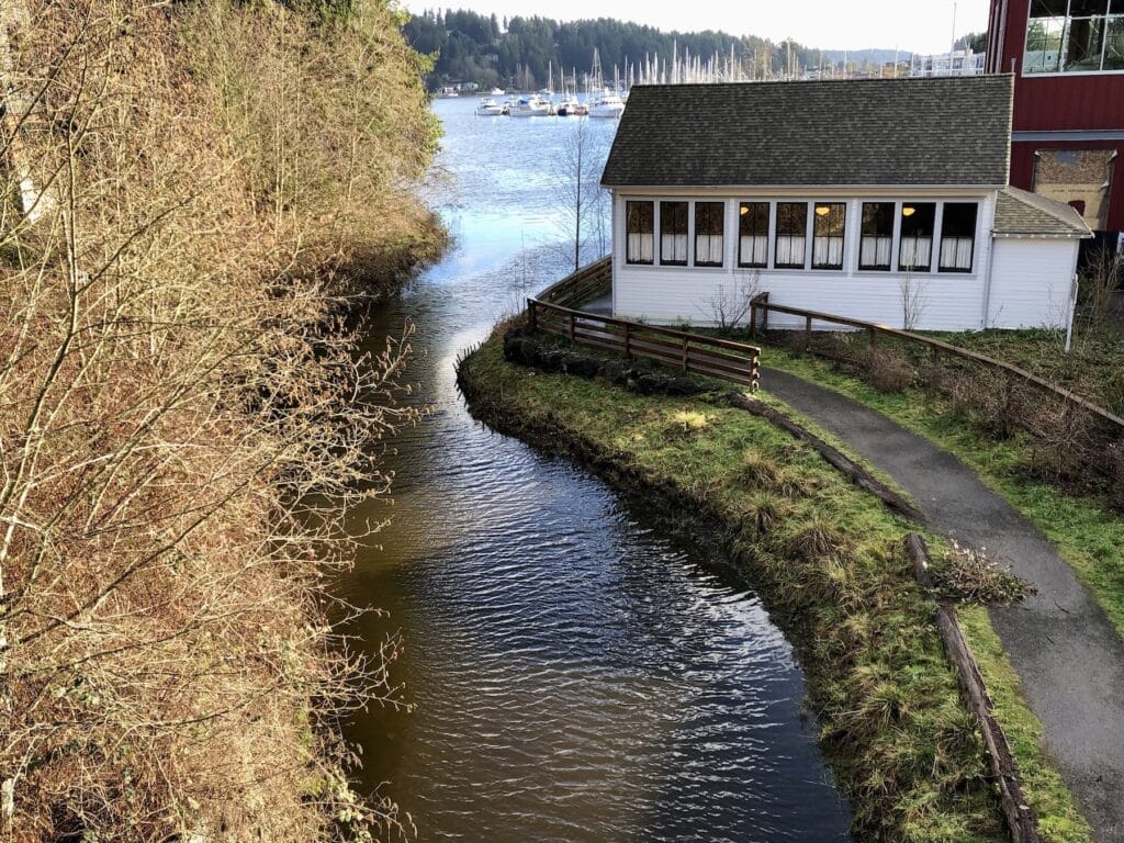 Donkey Creek flows from Gig Harbor bay past the museum.